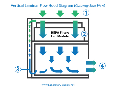 Vertical Laminar Flow Hood Diagram Vertical Laminar Flow Hood Diagram