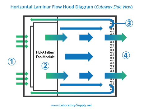 Horizontal Laminar Flow Hood Diagram Horizontal Laminar Flow Hood Diagram
