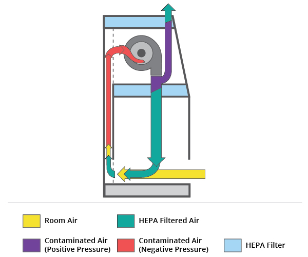 Biological Safety Cabinet Diagram Biological Safety Cabinet Diagram